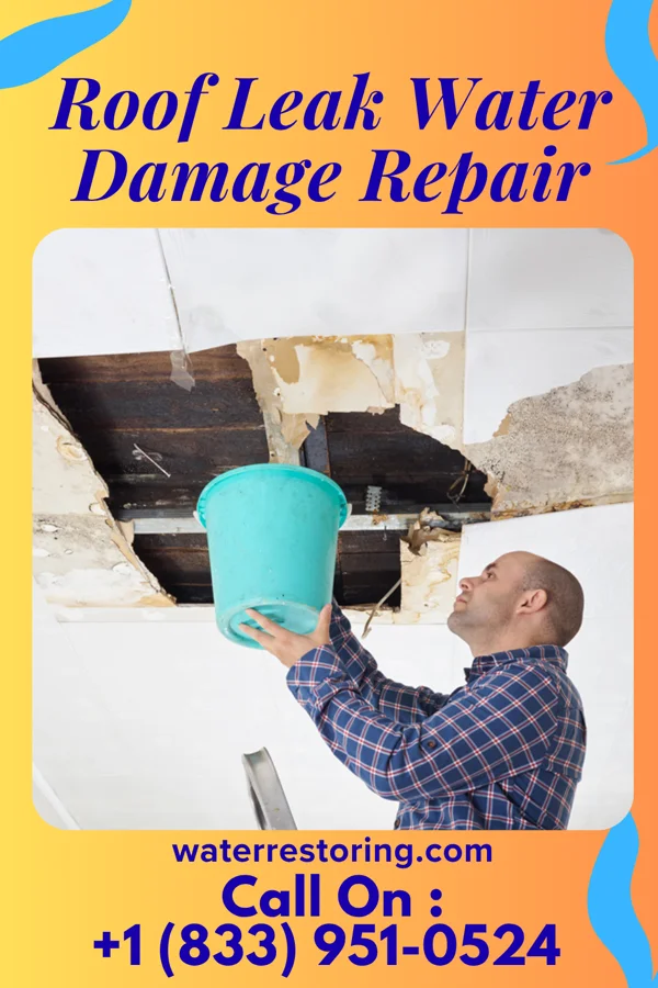 Roof Leak Water Damage Repair in Chillicothe, IL